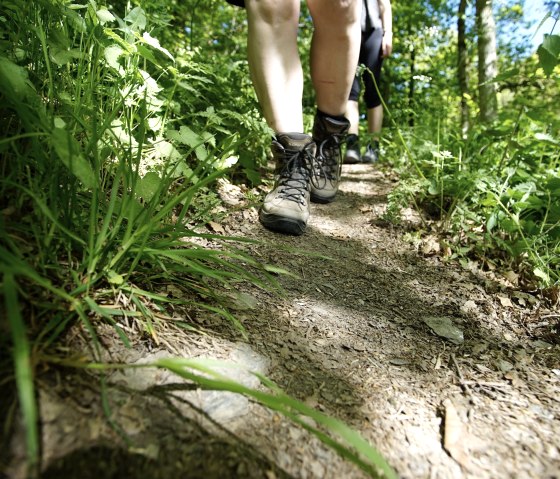 Wandelaars op de leisteenwandelroute, © Laura Rinneburger