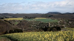 Blick auf die beiden Monreal Burgen, &copy; Foto: Laura Rinneburger, Quelle: Touristik-B&uuml;ro Vordereifel