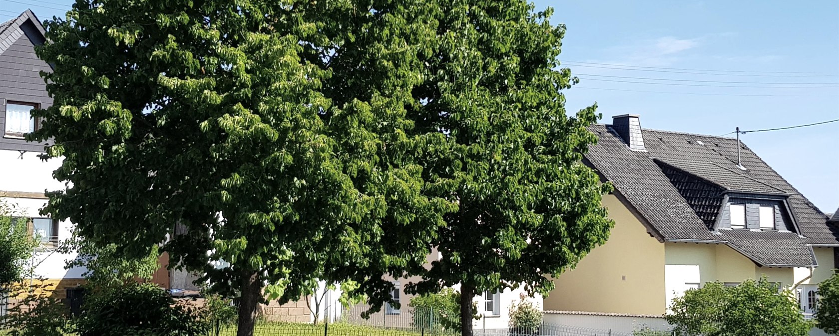 Ortsgemeinde Weiler, &copy; Foto: Svenja Schulze-Entrup, Quelle: Touristik-B&uuml;ro Vordereifel