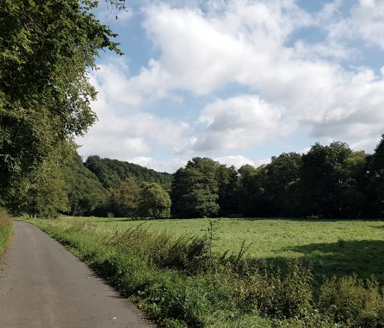 Ausblick Elztal, &copy; Svenja Schulze-Entrup/Touristik-B&uuml;ro Vordereifel