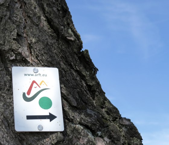 Un panneau indicateur avec un point vert et une fl&egrave;che est fix&eacute; &agrave; un tronc d'arbre. Le ciel est clair et bleu., &copy; Svenja Schulze-Entrup