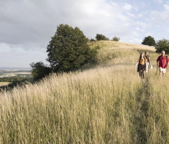 Drei Wanderer gehen auf einem grasbewachsenen H&uuml;gelpfad. Der Himmel ist teils bew&ouml;lkt, die Landschaft weitl&auml;ufig und gr&uuml;n., &copy; Traumpfade