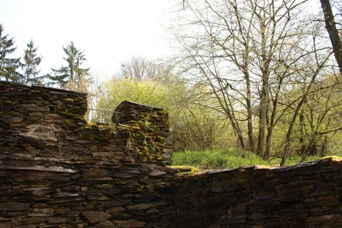 Eine alte Steinmauer mit Moos und teilweise abgebrochenen Stellen. Im Hintergrund sind Bäume und frisches Grün zu sehen.