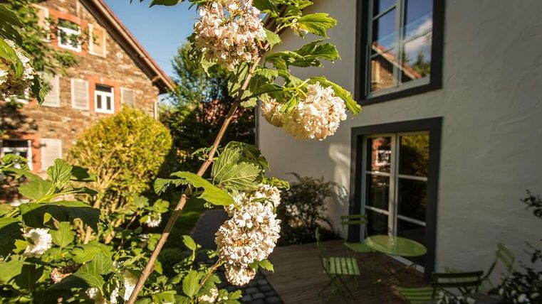 A beautiful garden with blooming plants and a cozy seating area. In the background, you can see a charming house.