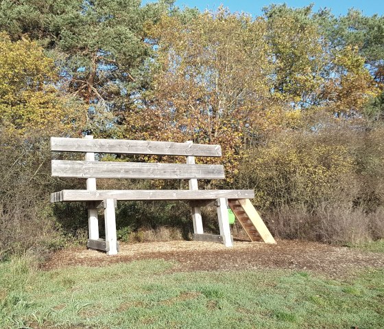 Baumelbank im Herbst, &copy; Foto: Svenja Schulze-Entrup, Quelle: Touristik-B&uuml;ro Vordereifel