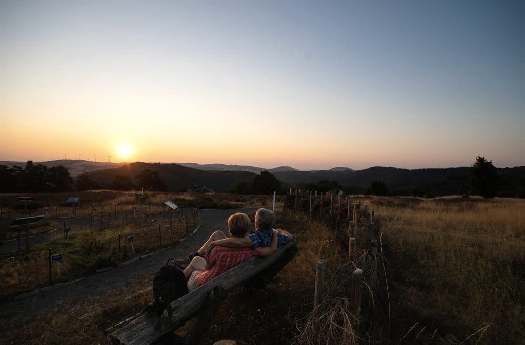 Heidegarten Langscheid bei Sonnenaufgang, © Foto: Laura Rinneburger, Quelle: Touristik-Büro Vordereifel