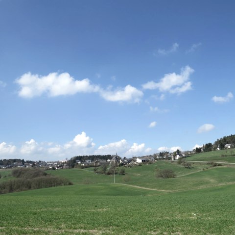 Aussicht vom 7-Dörfer-Weg, © Foto: Svenja Schulze-Entrup, Quelle: Touristik-Büro Vordereifel