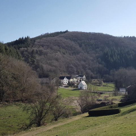 Uitzicht op Niederwelschenbach, &copy; Foto: Svenja Schulze-Entrup, Quelle: Touristik-B&uuml;ro Vordereifel