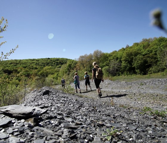 A group of hikers walks along a slate path through a green landscape. The sky is clear and blue., &copy; Laura Rinneburger