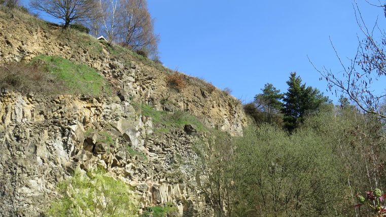 Eine steile Felswand mit Bäumen oben und grünem Gestrüpp unten. Der Himmel ist klar und blau.