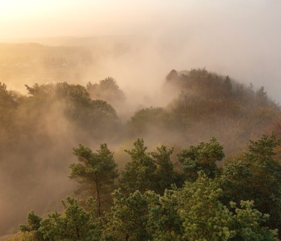 Sonnenaufgang &uuml;ber nebligen H&uuml;geln und bewaldeter Landschaft, &copy; Laura Rinneburger