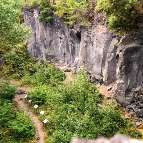 Blick auf einige der Vulkanparkstelen im Kottenheimer Winfeld