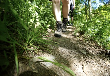 Wanderer unterwegs auf einem bewachsenen Pfad