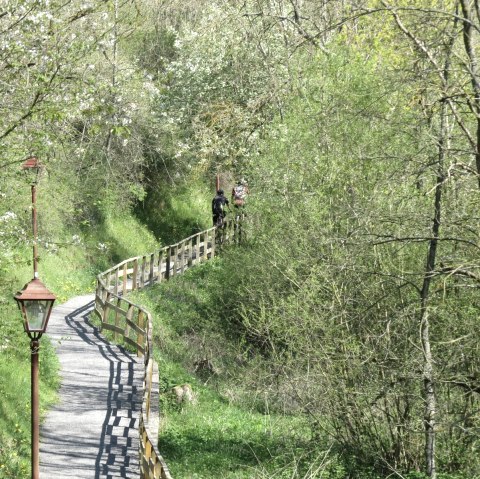 Radfahrer auf dem Elztalradweg unterwegs nach Monreal