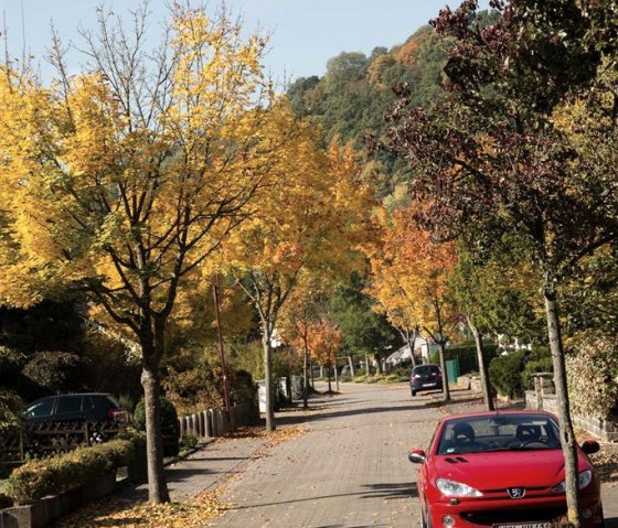 Herbst2, &copy; Michelsfotography