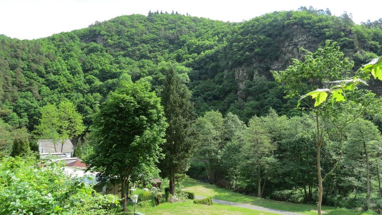 Eine grüne Landschaft mit hohen Bäumen und sanften Hügeln. Im Vordergrund ist ein kleiner Weg sichtbar, der zu einem Wohnbereich führt.