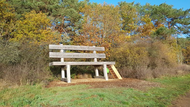 Eine große Holzbänke steht in der Natur, umgeben von Bäumen und Sträuchern. Der Himmel ist klar und die Farben der Blätter deuten auf den Herbst hin.