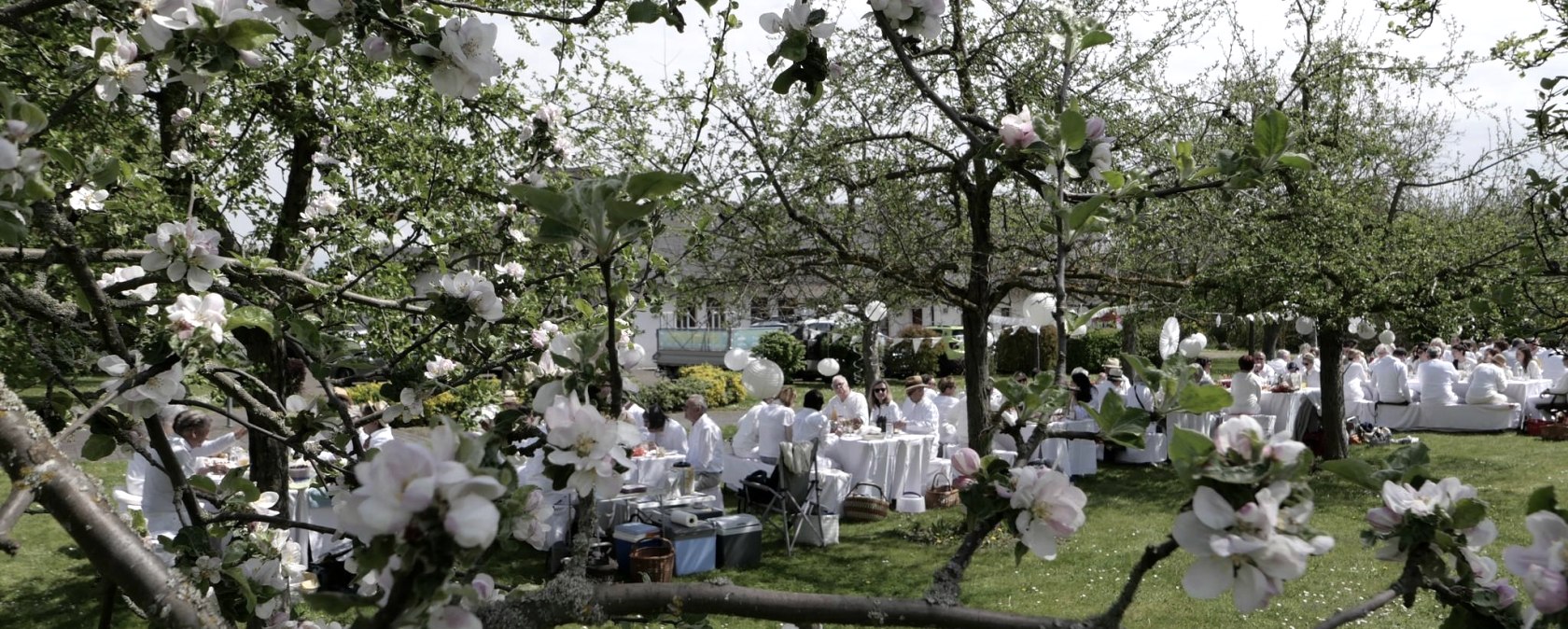 &Auml;ppelbl&ouml;tefest Plakat, &copy; T. Hamann