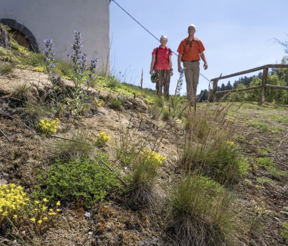 Vor der Kapelle in Virneburg, &copy; K.P. Kappest/REMET