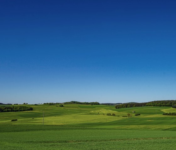 Grüne Felder und Blauer Himmel bei Herresbach, © Laura Rinneburger
