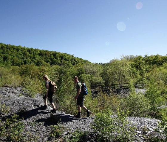 Two hikers with rucksacks cross a green, wooded slate landscape under a bright blue sky., &copy; Laura Rinneburger
