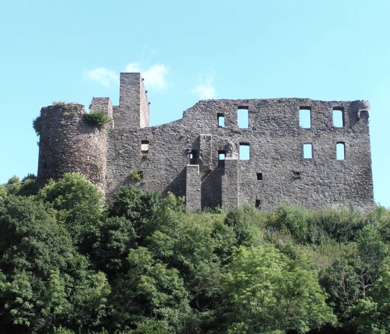 Burgruine Virneburg
