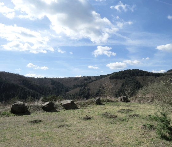 Ausblick auf die umliegenden W&auml;lder, &copy; Foto: Svenja Schulze-Entrup, Quelle: Touristik-B&uuml;ro Vordereifel