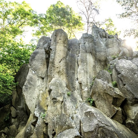 Bizarre Felsen im Kottenheimer Winfeld, © Eifel Tourismus GmbH, Dominik Ketz