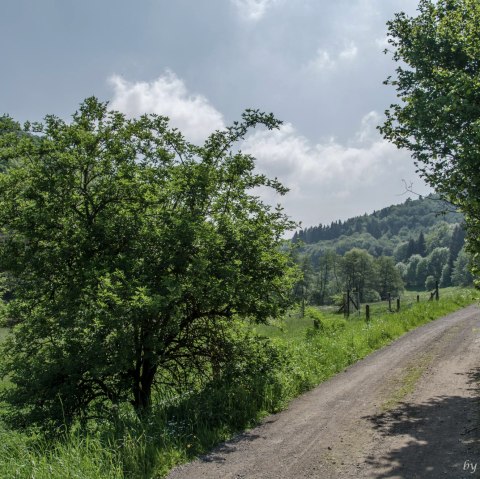 Le long de prairies verdoyantes sur de larges chemins de campagne, &copy; Volker Windheuser