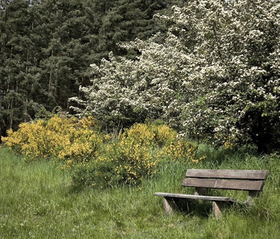 Umgebung im Fr&uuml;hjahr