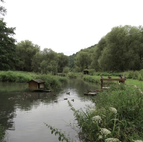 Der Morswiesener Weiher, © Foto: Svenja Schulze-Entrup, Quelle: Touristik-Büro Vordereifel