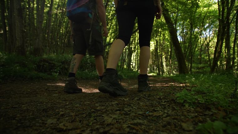 Two people are walking along a forest path surrounded by green trees.