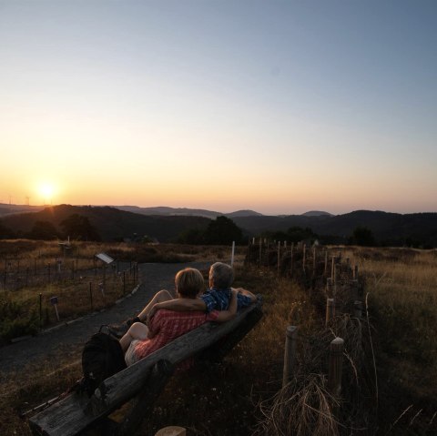 Sonnenaufgang auf dem Wabelsberg, © Foto: Laura Rinneburger, Quelle: Touristik-Büro Vordereifel