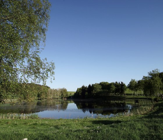 Traumpf&auml;dchen Eifelturmpfad Boos, &copy; Laura Rinneburger