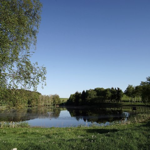 Traumpf&auml;dchen Eifelturmpfad Boos, &copy; Laura Rinneburger