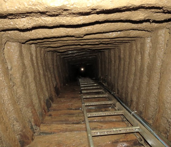Die Leiter in der 35m hohen Fahrte - Abenteuer pur, &copy; Foto: Svenja Schulze-Entrup, Quelle: Touristik-B&uuml;ro Vordereifel