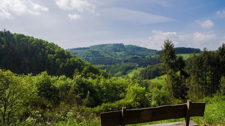 A serene landscape with green hills and trees. In the foreground, there is a bench inviting relaxation.