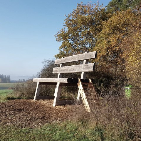 Die Baumelbank im Herbst, © Foto: Svenja Schulze-Entrup, Quelle: Touristik-Büro Vordereifel