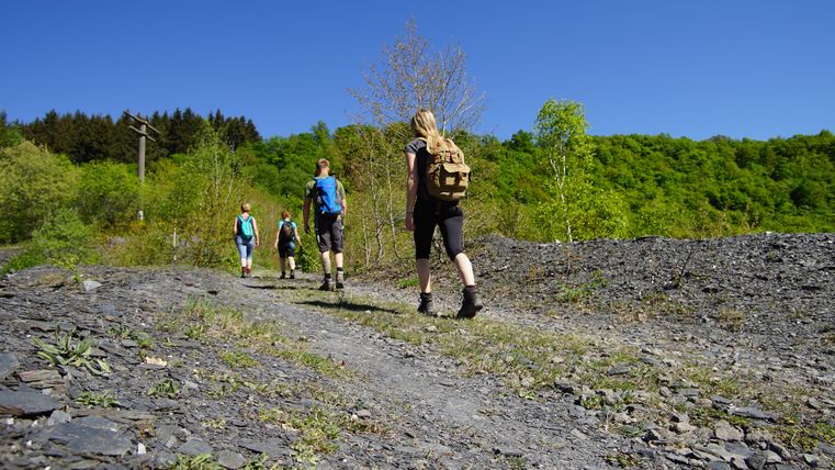 Group of hikers on a slate path in a green landscape.