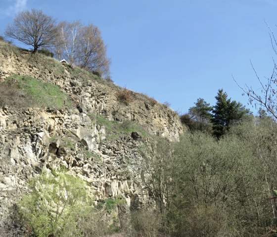 Die Ahl und seine Natur, &copy; Foto: Svenja Schulze-Entrup, Quelle: Touristik-B&uuml;ro Vordereifel