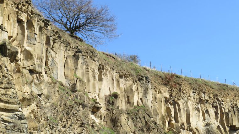 Ein steiler, sandiger Hang mit einer kahlen Baumkrone und klarem, blauem Himmel. Die Landschaft vermittelt eine ruhige, natürliche Atmosphäre.