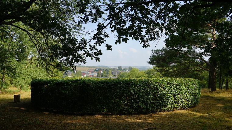 Ein grüner Heckenring umgeben von Bäumen. Im Hintergrund sind weiter unten Häuser und die Landschaft sichtbar.