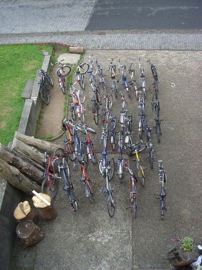 Eine Ansammlung von vielen Fahrrädern, die ordentlich auf einem Platz geparkt sind. Umgeben von Grünflächen und Holzstämmen.