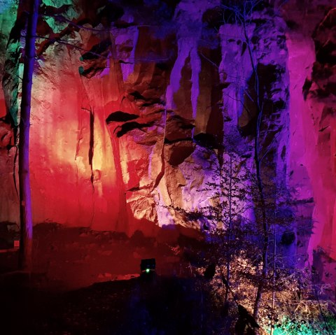 Leuchtende Layen, &copy; Svenja Schulze-Entrup