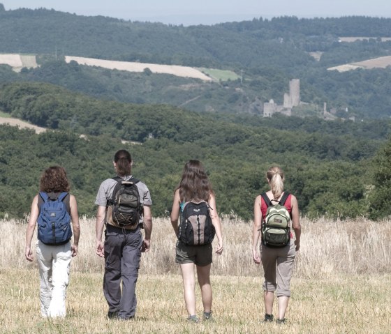 Vue sur les ruines du ch&acirc;teau de Monreal, &copy; Traumpfade/Kappest
