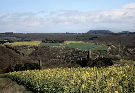 Blick auf die beiden Monreal Burgen, © Foto: Laura Rinneburger, Quelle: Touristik-Büro Vordereifel