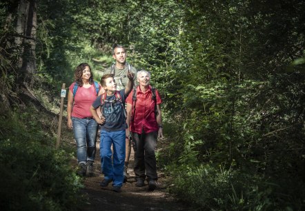 Eine Gruppe von vier Personen wandert fröhlich auf einem Waldweg. Sie tragen Rucksäcke und genießen die Natur., © Kappest_Remet
