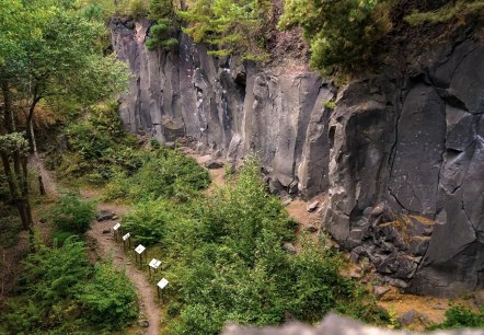 Blick ins Kottenheimer Winfeld, &copy; Foto: Laura Rinneburger, Quelle: Touristik-B&uuml;ro Vordereifel