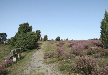 Wanderweg in der Wacholderheide bei Langscheid