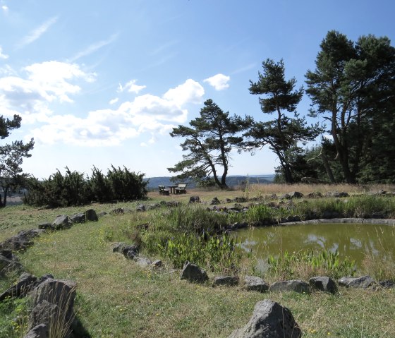 Un petit &eacute;tang dans une prairie verdoyante, entour&eacute; de pierres. En arri&egrave;re-plan, des arbres et une table en bois sous un ciel bleu avec des nuages., &copy; Svenja Schulze-Entrup